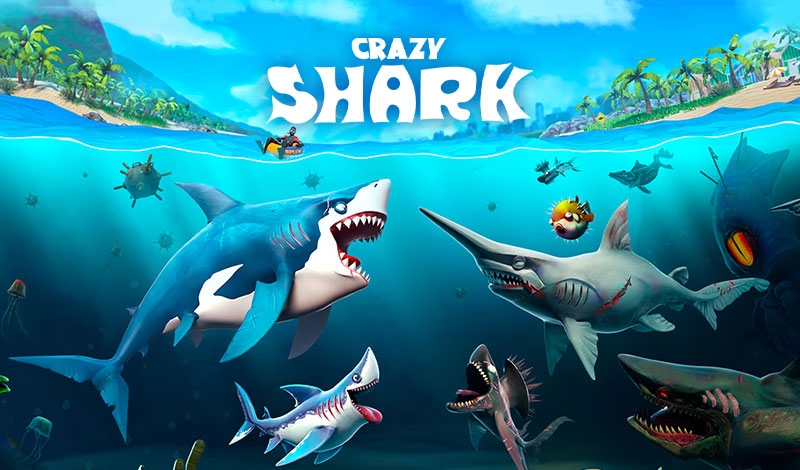 crazy shark